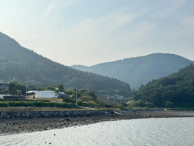 [경남 남해] 앞마당이 바다, 갯벌조개잡이, 금잔듸마당(집 전체사용해요) 19