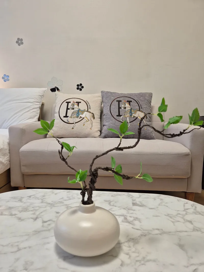 [서울 강남] 강남역 2분 깔끔,안전,풀옵션,채광 19