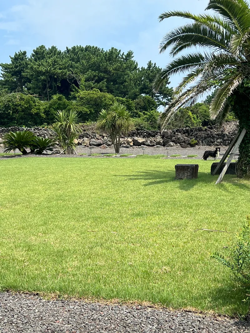 [Gujwa, Jeju][Seogwipo Seongsan] Ocean view emotional accommodation 30 seconds from the sea in front of the house (Room 101) 13