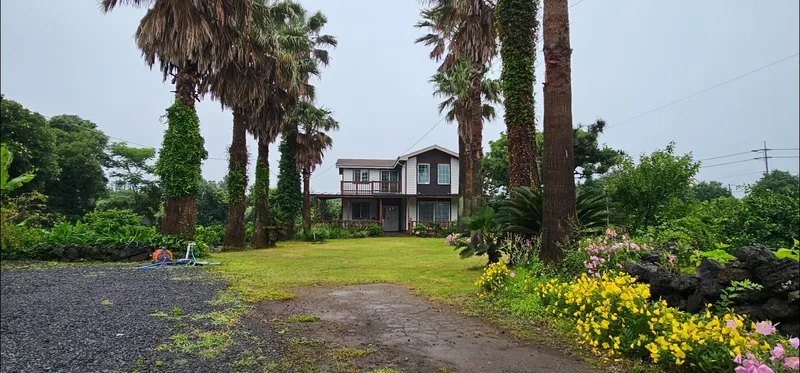 [Seongsan, Seogwipo] Two-room detached house with a large yard full of palm trees #BBQ 14