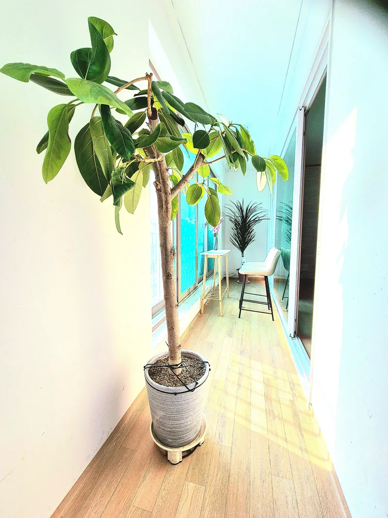 [Jincheon] Premium Two-Room (Corporate Use Only) 30