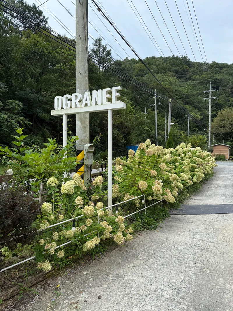 [Yeongwol] A healing house in the forest with a beautiful garden 15