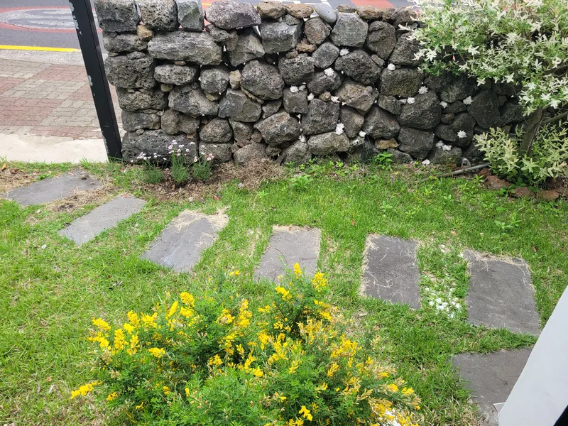 [Namwon, Seogwipo] Taeheung Jeju Original Gojae, detached house, front and back yards, dogs and cats allowed 18