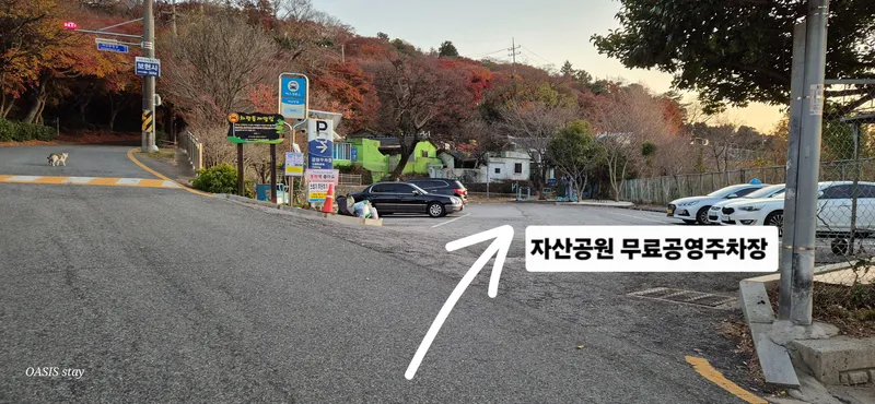 [전남 여수] 오아시스스테이,독채,자차-여수역5분,낭만포차2분 32