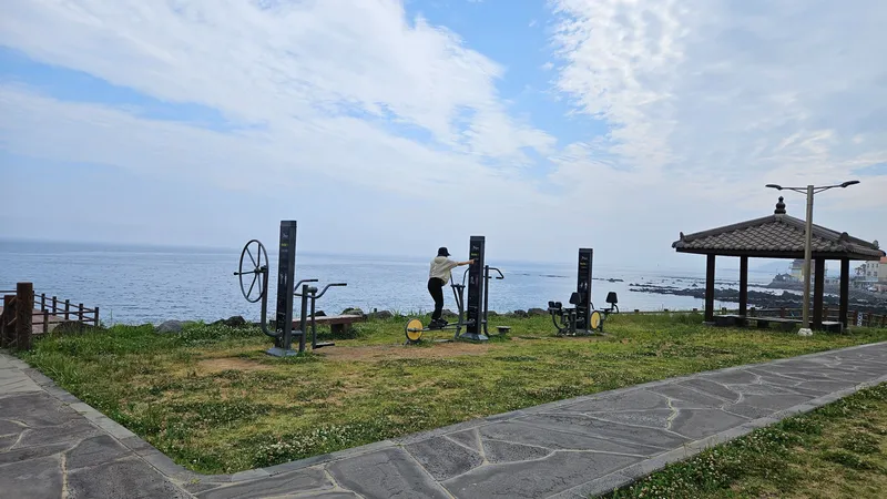 [제주 외도이동] 제주공항15분 마당독채, 바다30초, 용천수1분,편의점5분 57