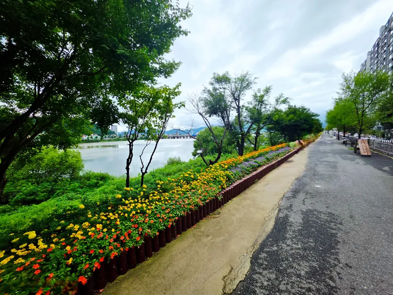 [Chuncheon][Chuncheon, Gangwon-do] Soyang River View Apartment Sharehouse 29