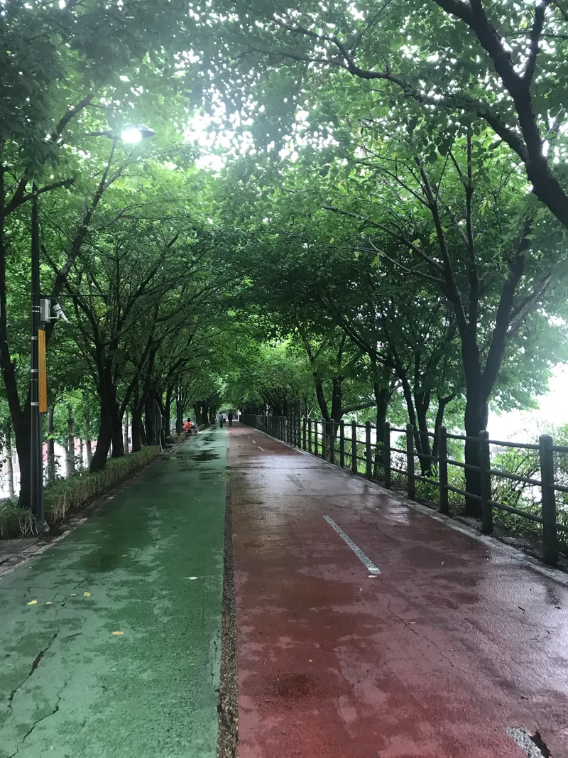 [Seongdong, Seoul] A pretty one-room apartment next to Songjeong Embankment Road and Jungnangcheon Stream 13