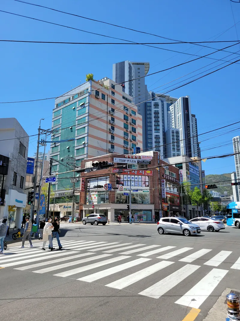 [부산 수영] 심플화이트 5
