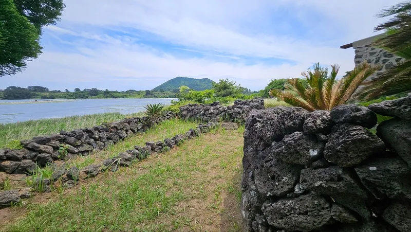 [Gujwa, Jeju] Jeju Rakhado / A House Loved by Artists 30
