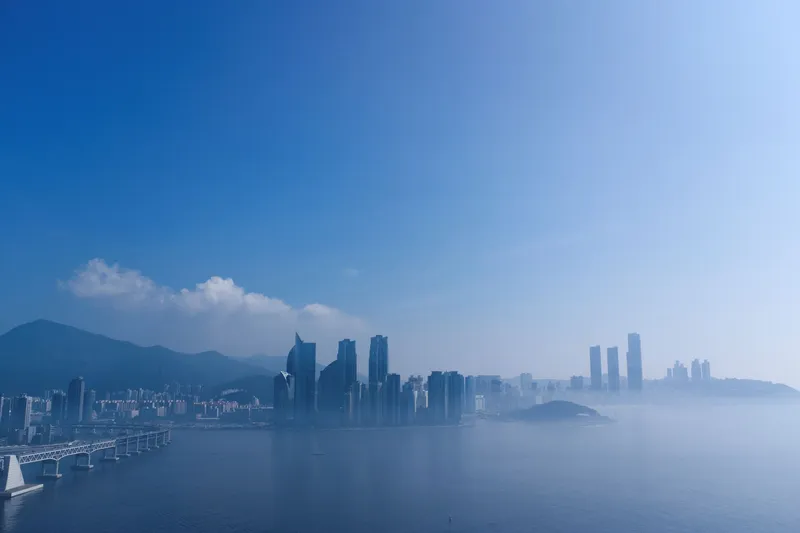 [부산 해운대] 바다의 별 20