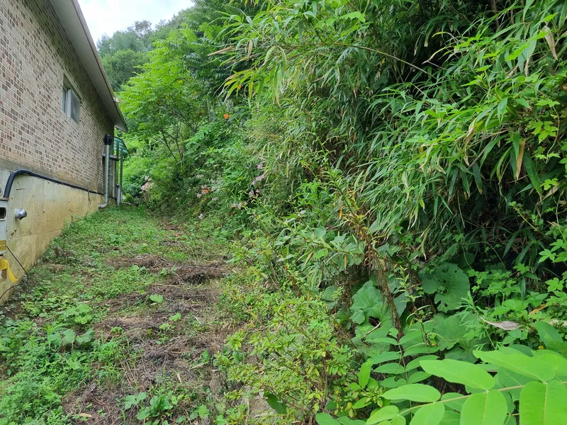 [Muju] A mud house in the forest on the slopes of Minjujisan Mountain 19