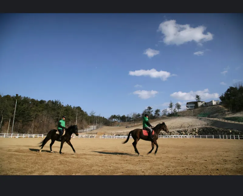 [경북 울진] 울진구산해수욕장 앞  소나무캠핑장(카라반가능캠핑장)동해 28