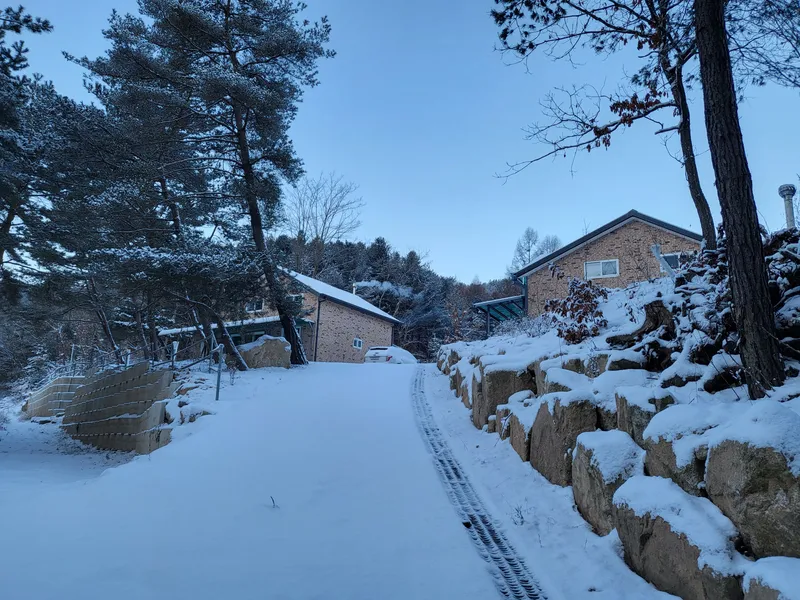 [Hwacheon] Nature-Living Experience Private Forest House Starlight Building #Valley 19