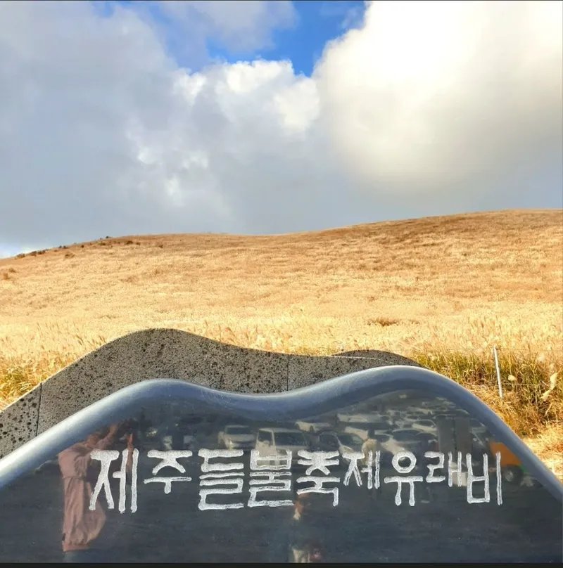 [제주 한림] 리조트12동 #단독건물# 반려동물가능#수영장#식당운영 26