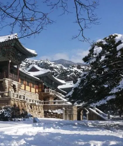 [Gyeongju] Healing 3-room house 16