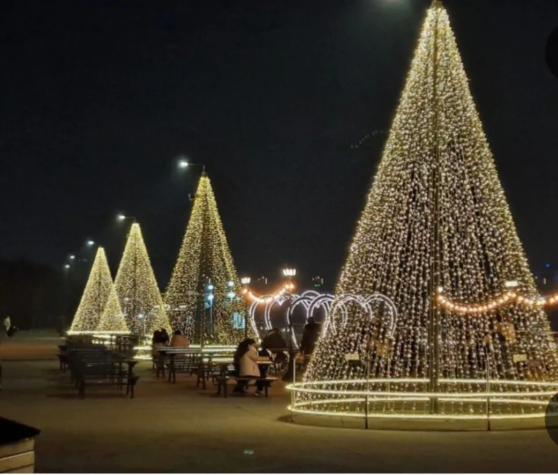 [Yeongdeungpo, Seoul] The Ultimate Han River Fireworks View 31