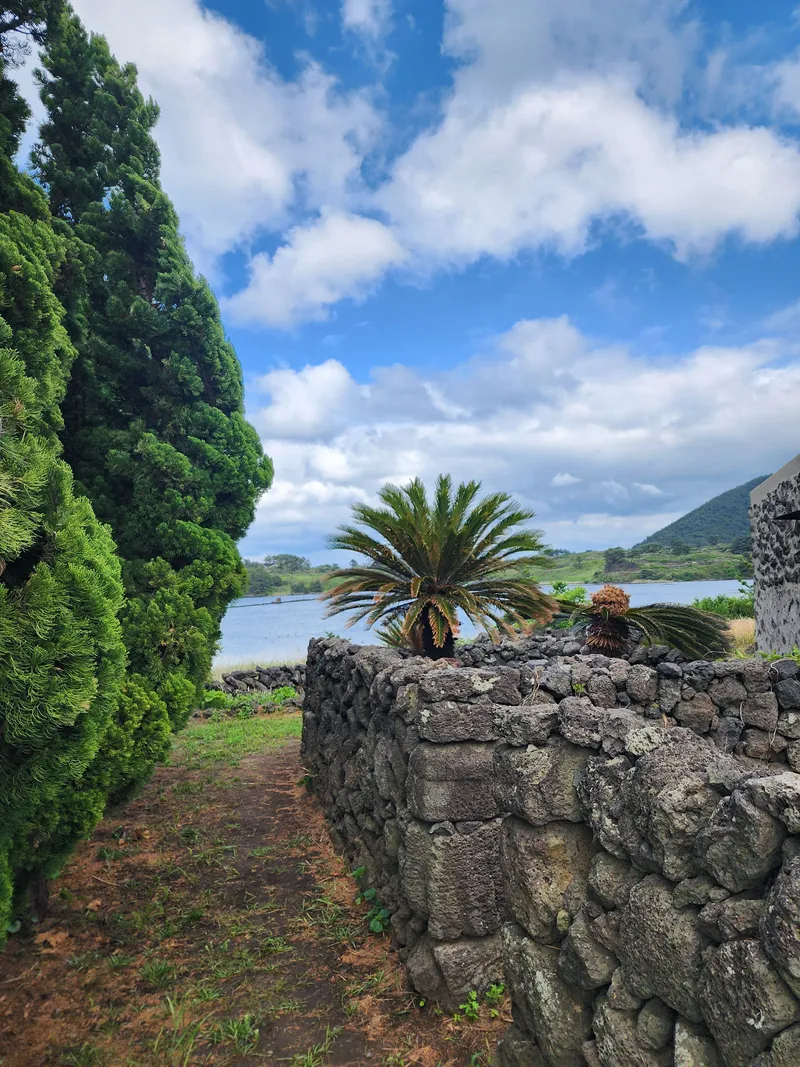 [Gujwa, Jeju] Jeju Rakhado / A House Loved by Artists 49