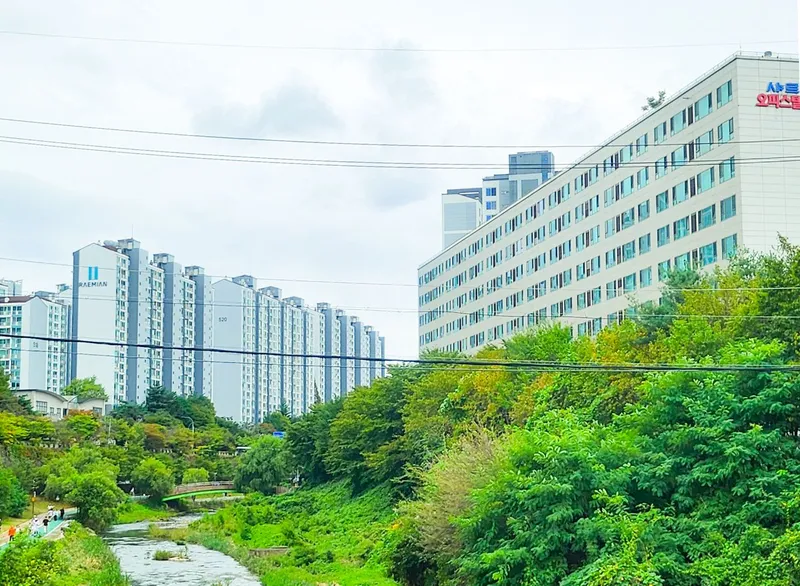 [경기 용인] 수지 광교 통창뷰 10