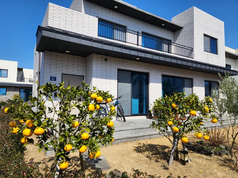 [서귀포 남원] 독채, 시골살이, 잔디마당, 돌담, 한달살이 33
