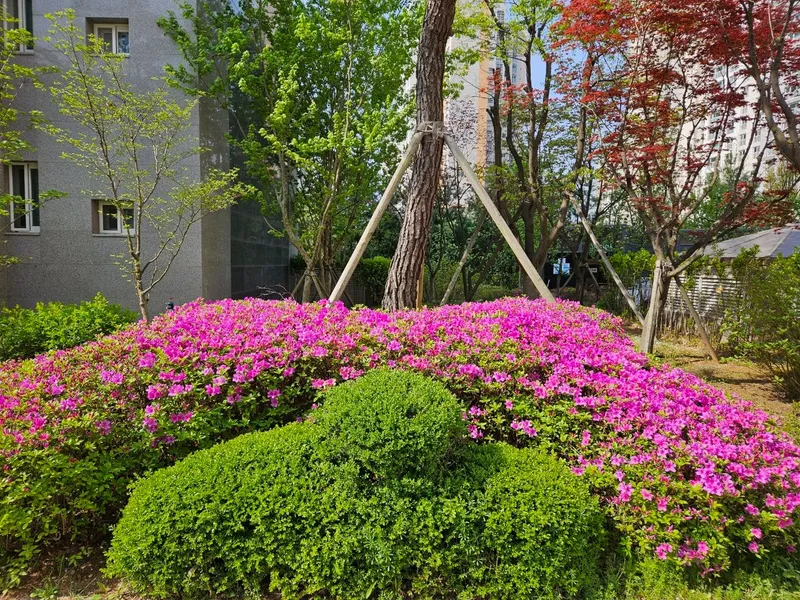 [경기 김포] #최신축아파트#에어컨 설치# (넓고 큰거실 확장형)#김포 큰방4개 50