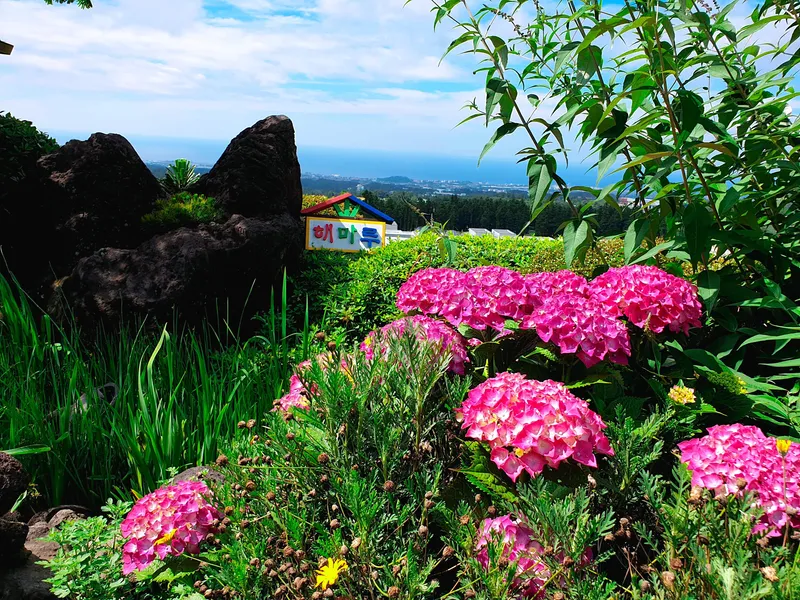[Aewol, Jeju] Fantastic Landscape 30-Pyeong Detached House with Indoor Plant Garden and Fireplace 38