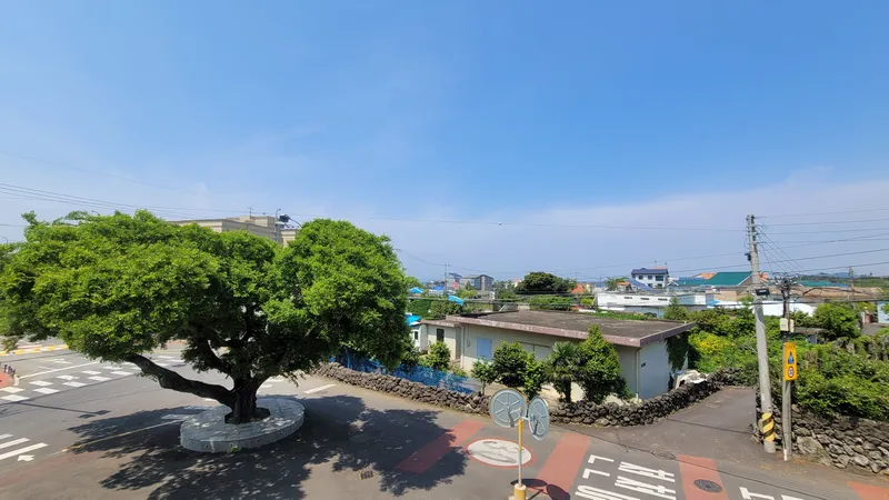 [Aewol, Jeju] 2 Queen Beds, Comfortable 15-Pyeong Usable Area, Terrace, Lawn Yard, BBQ 13
