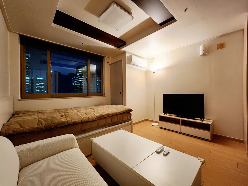 [Gangnam, Seoul] 5 minutes from Gangnam Station City View Pool Option 3