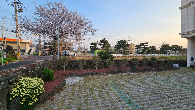 [제주 이호일동] 제주 공항 10분거리 이호테우해변 근처 넓은 20평 투룸 16