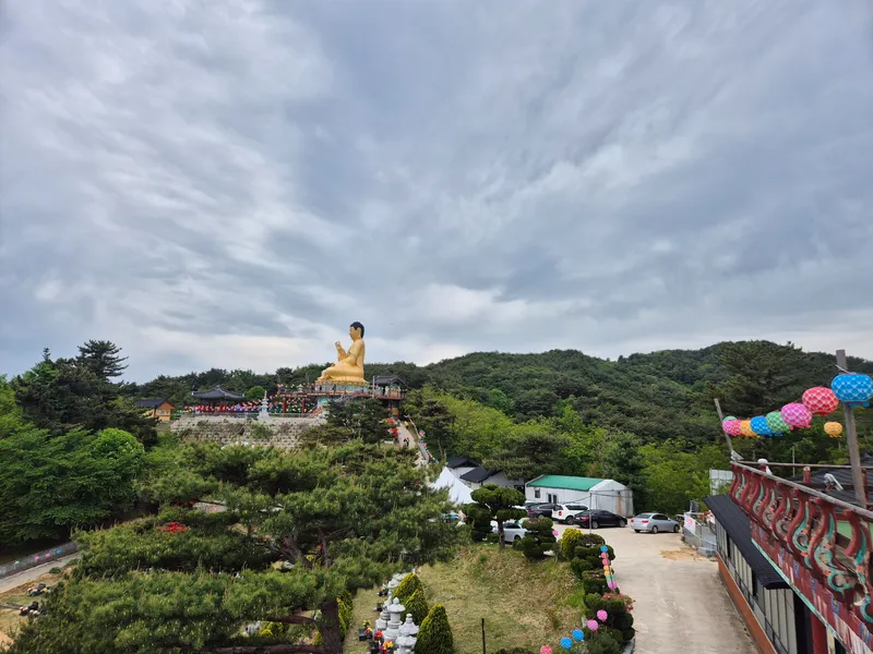 [경북 울진] 울진구산해수욕장 앞  소나무캠핑장(카라반가능캠핑장)동해 33