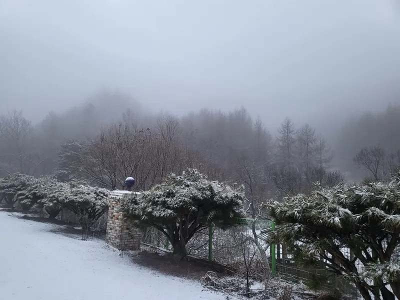 [Eumseong][Chungcheongbuk-do Eumseong] One-room terrace right next to the valley 17