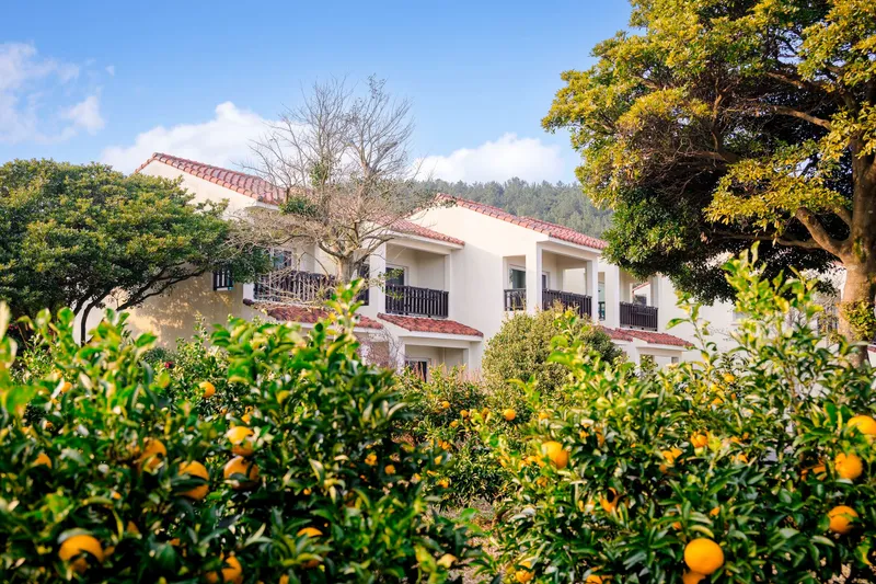 [Seongsan, Seogwipo] #101 #Pension #European style #Pets allowed #No utility deposit 20