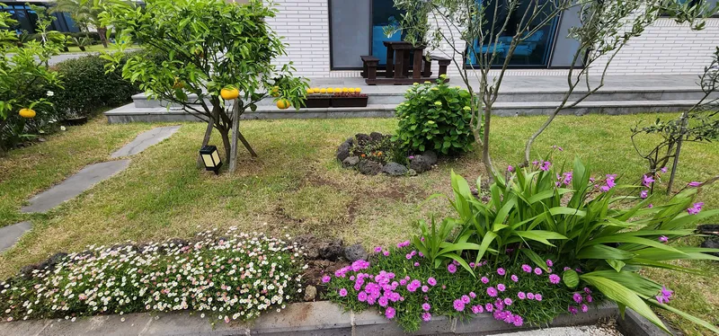 [서귀포 남원] 독채, 시골살이, 잔디마당, 돌담, 한달살이 31
