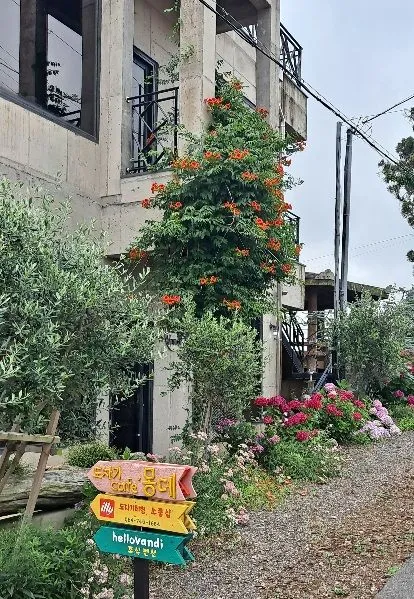 [제주 한경] 청수리 귤밭뷰 일출루프탑복층,조식빵제공,도자기체험,감귤체험 35