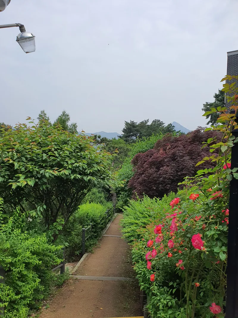 [Jongno, Seoul] One-room apartment with a terrace overlooking Mt. Bukhan 46