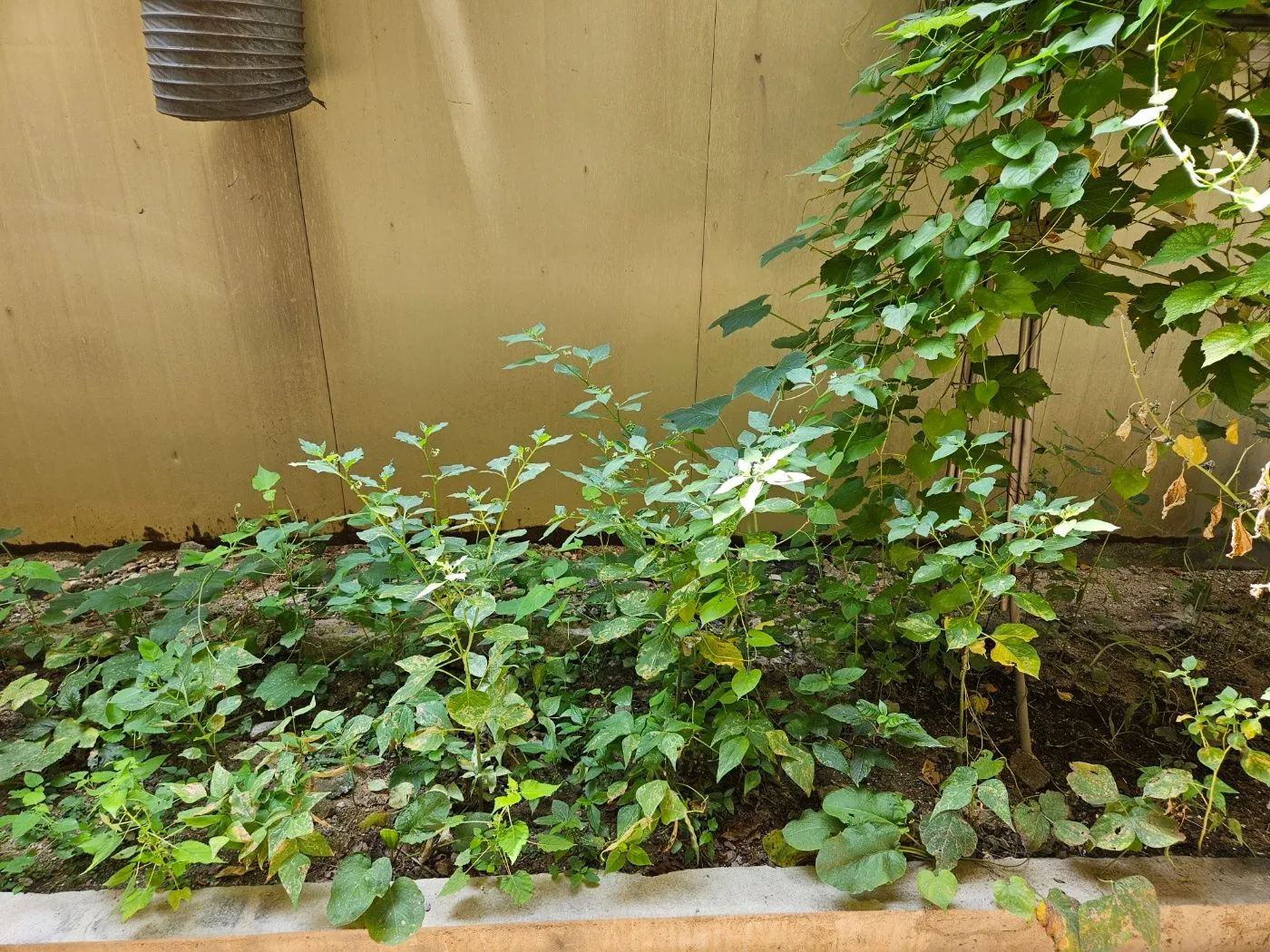 Studio in Iksan, Jeonbuk — 26m², sleeps 2, 1 bath