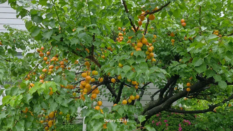 [경남 양산] 전원주택에서 여유 만들기 26
