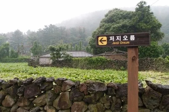 [제주 한경] 서쪽감성 최대8인 애견동반 가능 대가족 특화 힐링하우스 45