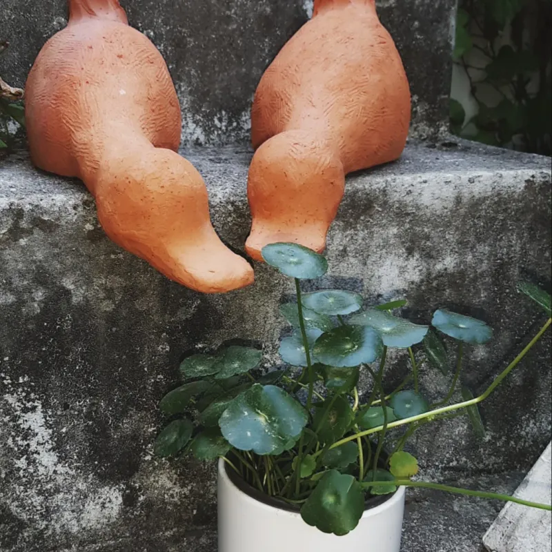 [Jeonju][Jeonju, Jeollabuk-do] 19
