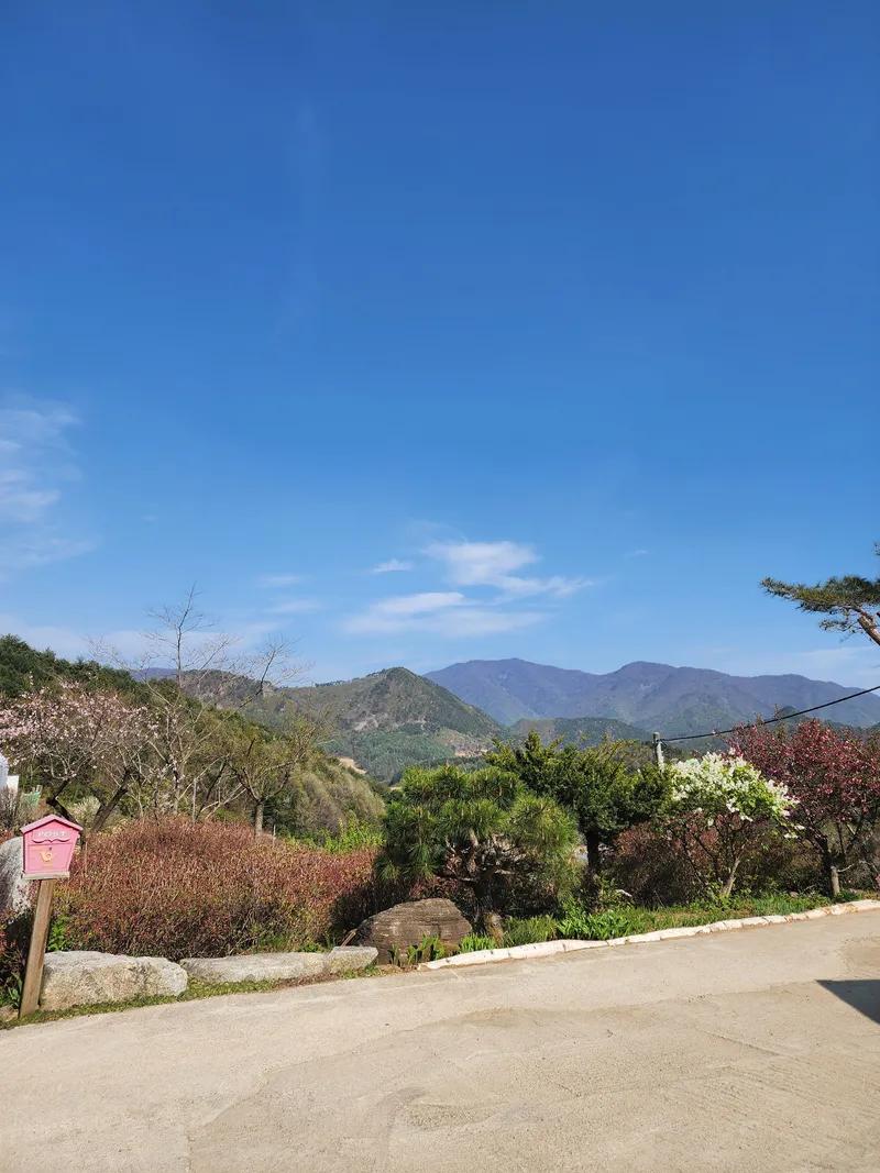 [Pyeongchang] A detached house in the forest with a yard filled with stars at 700m above sea level/Families with young children welcome 15