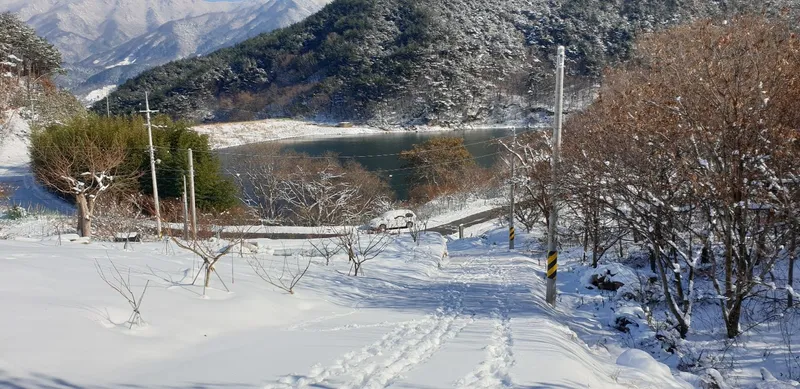 [전남 구례] 산동 수목원과 휴양림사이 숲속의 작은집 독채 마운틴 호수뷰 18
