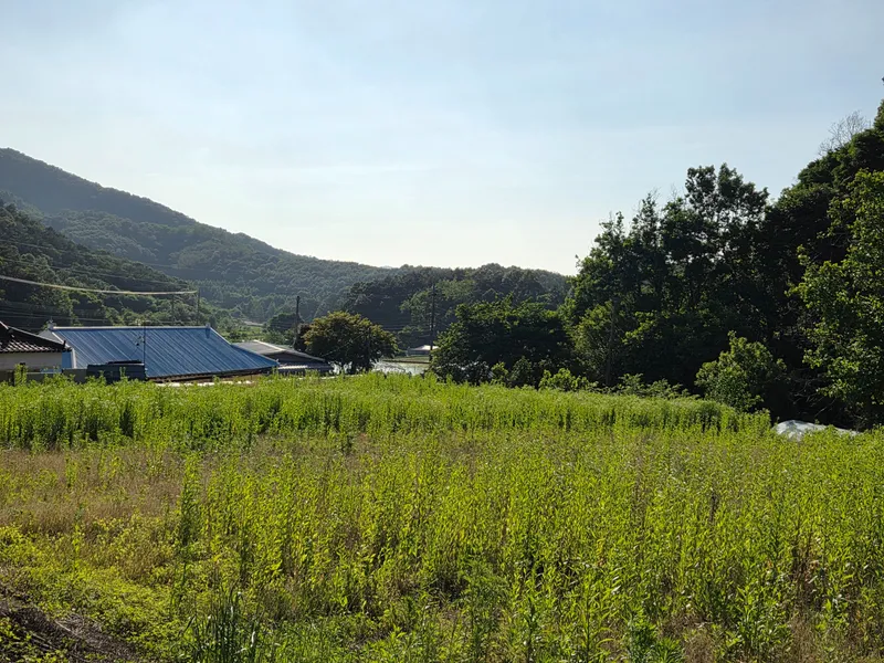 [Eumseong] Rural healing single-family home #Village vacation #Rural living #Forest area #House with yard 19