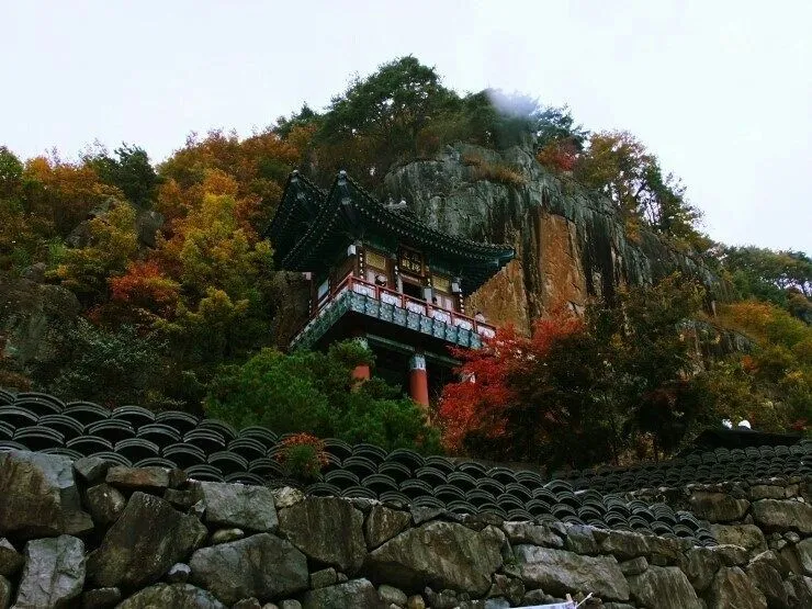 [전남 구례] 섬진강변 청정산골 황토 구들방 반려동물가능 40