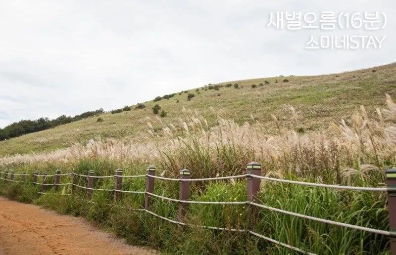 [Aewol, Jeju] Jeju's vintage-feeling independent house with good transportation 42