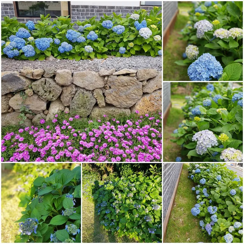 [Namwon, Seogwipo] Wimi Lawn Yard, Detached House, 1st Floor 18