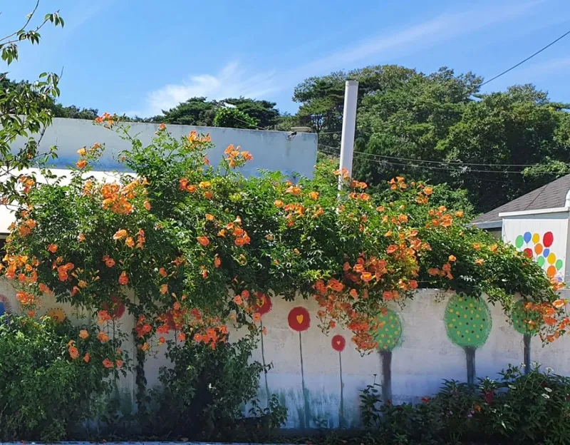 [Taean][Taean, South Chungcheong Province] Anmyeondo Island. A beautiful sunrise over the sea. A private villa with a yard and large veranda. 30