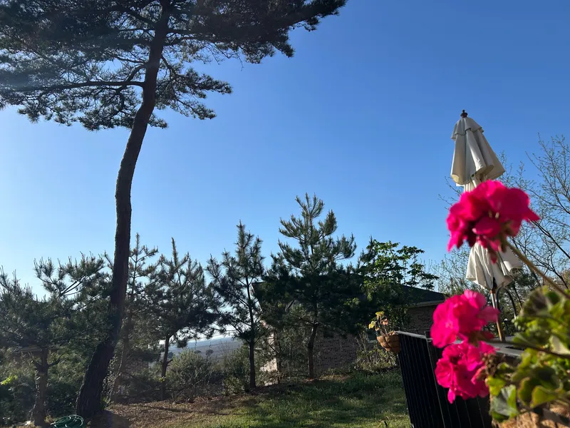 [Dangjin] Dangjin, South Chungcheong Province) Morning on the terrace/Villa in a country house/Room 5/1 hour from Seoul/12 minutes from the sea 53