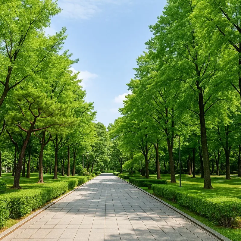 [Gangnam, Seoul] Apgujeong/Sinsa/Cheongdam Stay 25