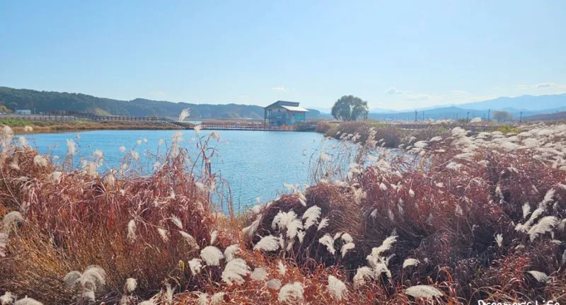 [Yangyang][Gangwon Sokcho Yangyang] Naksan Beach - & Namdaecheon Riverside Walk - Quiet Accommodation #Garden - & Balcony Barbecue 32