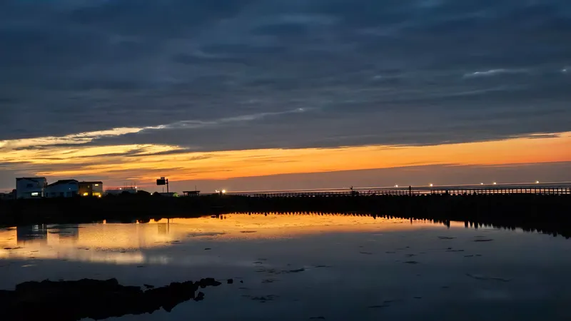[Gujwa, Jeju] Hadori Byeolbangjin Gamseongsukso 32