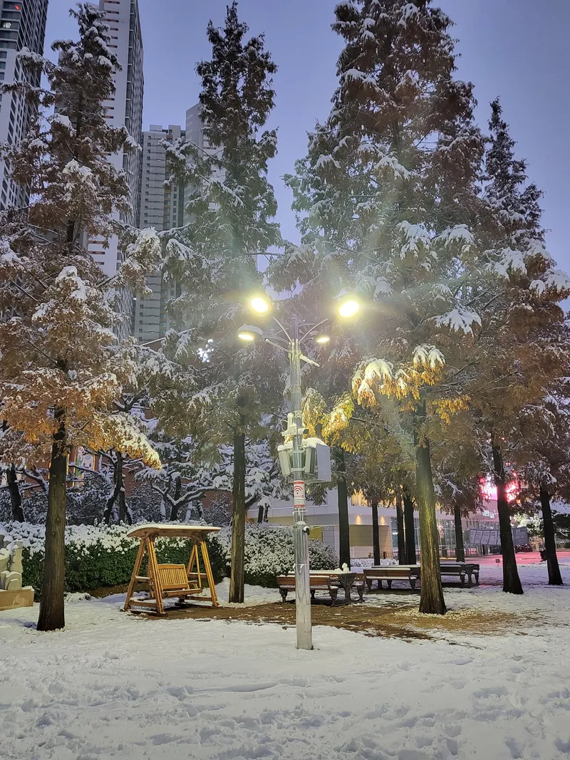 [경기 부천] 신중동 역세권 고층 13